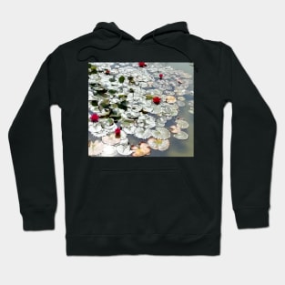 lily Pond Silvered by the Sun Hoodie